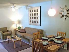 Amazing 4 Br, 4 Ba Apartment By Usf! in Tampa, FL (Photo 5 of 6)