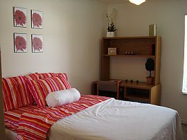 Amazing 4 Br, 4 Ba Apartment By Usf! in Tampa, FL (Photo 6 of 6)