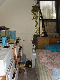 1 BR, 1 BA Apartment In Duplex Available now! $375 in Stevens Point, WI (Photo 2 of 4)