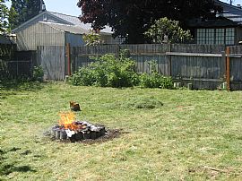 NEW PRICE: Nice 3 BR, 1 BA Home For Rent In North Tacoma in Tacoma, WA (Photo 2 of 6)