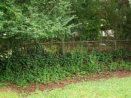 Nice Quiet 3 BR, 1 BA House In Meadowbrook Subdivision in Birmingham, AL (Photo 6 of 6)