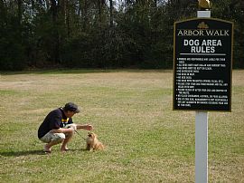 HUGE 2 BR, 1 BA Apartments, AMAZING Amenities At Arbor Walk in Hattiesburg, MS (Photo 5 of 9)