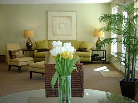 HUGE 2 BR, 1 BA Apartments, AMAZING Amenities At Arbor Walk in Hattiesburg, MS (Photo 6 of 9)