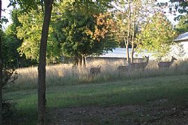 Rogers Ar Furnished Home Util +pd Beaver Lake I-540 10 Ml E 94  in Rogers, AR (Photo 11 of 12)