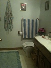 Lovely 3 Br, 2.5 Ba Home with First Month Free! in Indianapolis, IN (Photo 6 of 12)