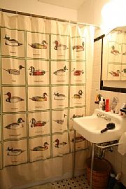 Spacious 1 BR, 1 BA Studio  With An Alcove! in Cambridge, MA (Photo 8 of 8)