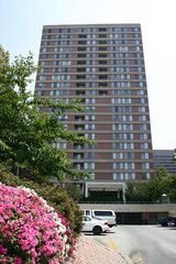 1-2 BR, 1-2 BR Apartments  With DC Views In Pentagon City in Arlington, VA