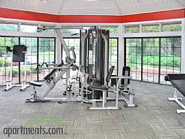 Beautiful First Floor Apartment In Upscale Neighborhood in Charlotte, NC (Photo 3 of 6)