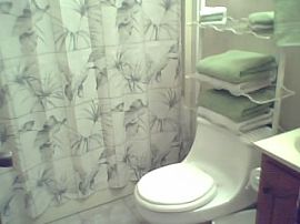 Quaint 3 BR, 2 BA House with Sun Room - On 5.5 Acres! in Plantersville, MS (Photo 7 of 10)