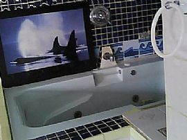 Nice 2 Room Efficiency Apartment with High Speed Internet in Orlando, FL