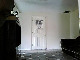 Nice 2 Room Efficiency Apartment with High Speed Internet in Orlando, FL (Photo 5 of 5)