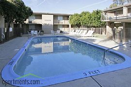 Spacious 1 BR, 1 BA Apartment  - Free Utilities!  in Phoenix, AZ (Photo 12 of 12)