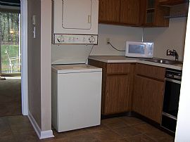 Newly Renovated 1 BR, 1 BA, 675 Sq. Ft. Condo - $725 in Bristol, CT (Photo 4 of 12)