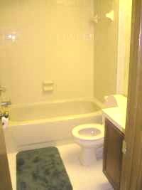 GREAT 1 BR, 1 BA EFFICIENCY APARTMENT - UTILITIES INCLUDED  in Tampa, FL (Photo 3 of 4)