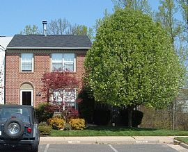 Great 3 BR, 2 BA End Unit In Small Private Townhome Community  in Dale City, VA (Photo 3 of 3)