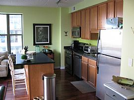 Amazing 2 BR, 2 BA Condo South Loop with Great Views  in Chicago, IL (Photo 2 of 7)