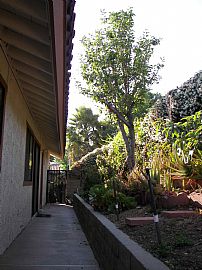 Beautiful 3 BR, 2 BA House in Northern La Verne  in La Verne, CA (Photo 6 of 9)