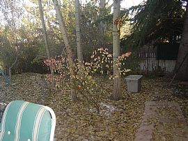 Wonderful 4 Bedroom DTC Home with New Kitchen in Centennial, CO (Photo 9 of 9)