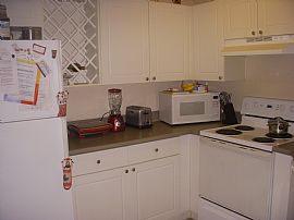 Gorgeous 1 BR, 1 BA Condo at Arbors at Carrollwood in Tampa, FL (Photo 3 of 9)