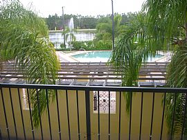 Gorgeous 1 BR, 1 BA Condo at Arbors at Carrollwood in Tampa, FL (Photo 4 of 9)