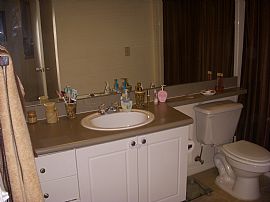 Gorgeous 1 BR, 1 BA Condo at Arbors at Carrollwood in Tampa, FL (Photo 5 of 9)