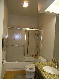 Gorgeous 1800 Sq. Ft. Home - GREAT PRICE - EXCELLENT LOCATION! in Libertyville, IL (Photo 12 of 12)