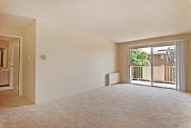 One Bedroom Apartment near Infinity Park! Low Rent and Deposit! in Denver, CO