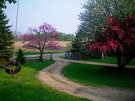Private 4 Bedroom Playhouse - No Neighbors - Near Lake in Dowagiac, MI (Photo 2 of 6)