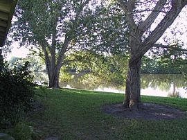 Cozy 1 BR, 1 BA Unit at Sea Ranch Apartments in Sarasota, FL (Photo 2 of 4)