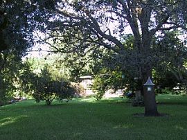 Cozy 1 BR, 1 BA Unit at Sea Ranch Apartments in Sarasota, FL (Photo 4 of 4)