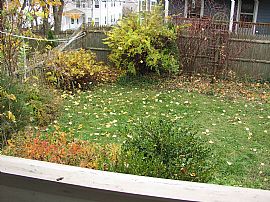 Single Family 3 Bedroom House in Historic Heart of Salem in Salem, MA (Photo 5 of 8)