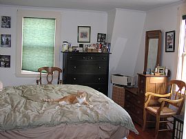 Single Family 3 Bedroom House in Historic Heart of Salem in Salem, MA (Photo 8 of 8)