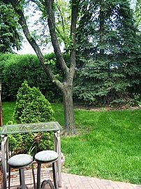 Beautiful 2 Bedroom Townhome - Updated Floor to Ceiling in Westmont, IL (Photo 2 of 6)