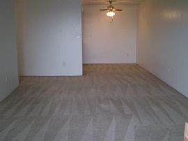 Grand 1 BR, 1 BA Apartment with HUGE Balcony and Fireplace  in Denver, CO (Photo 3 of 12)