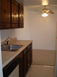 Grand 1 BR, 1 BA Apartment with HUGE Balcony and Fireplace  in Denver, CO (Photo 4 of 12)