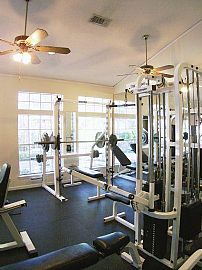 Convenient 1 Bedroom Apartment in Great Location in Tallahassee, FL (Photo 7 of 9)