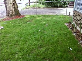 Furnished Rooms - $85 a Week For Rent in New Britain, CT (Photo 2 of 2)