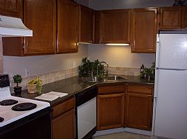 Sharp, Remodeled 1 Bedroom Condo in Great Location in Aurora, CO