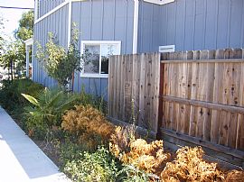 Outstanding 3 Bedroom House - 5 Years Old with Large Patio! in Bay Point, CA (Photo 4 of 4)