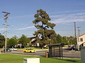 Gorgeous 3 BR, 2.5 BA Townhome in Gated Community in La Puente, CA (Photo 12 of 12)