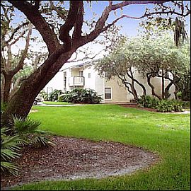 Start The New Year Right! Get Febraury  For Only $20.12! in Tampa, FL (Photo 10 of 12)