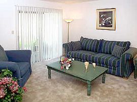 Start The New Year Right! Get Febraury  For Only $20.12! in Tampa, FL (Photo 12 of 12)