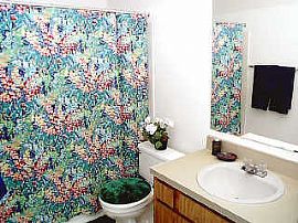 Start The New Year Right! Get Febraury  For Only $20.12! in Tampa, FL (Photo 4 of 12)