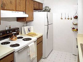 Start The New Year Right! Get Febraury  For Only $20.12! in Tampa, FL (Photo 6 of 12)