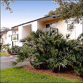 Start The New Year Right! Get Febraury  For Only $20.12! in Tampa, FL (Photo 8 of 12)