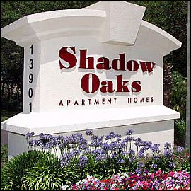 Start The New Year Right! Get Febraury  For Only $20.12! in Tampa, FL