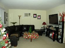 1 Bedroom Apartment - 5 min to River Walk, Shopping, Restaurants in Naperville, IL (Photo 2 of 4)