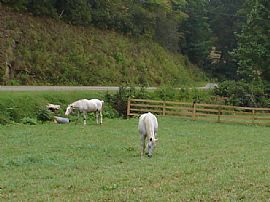 Cozy, Clean 2 Bedroom Cottage - Washer/Dryer are Like New in Franklin, NC (Photo 2 of 2)