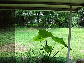 Sweet 3 Bedroom House Close to Campuses - Tcc, Fsu, Famu in Tallahassee, FL (Photo 2 of 2)