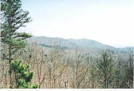 Large, Beautiful 5 Bedroom Home with Lots of Potential  in Franklin, NC (Photo 2 of 6)